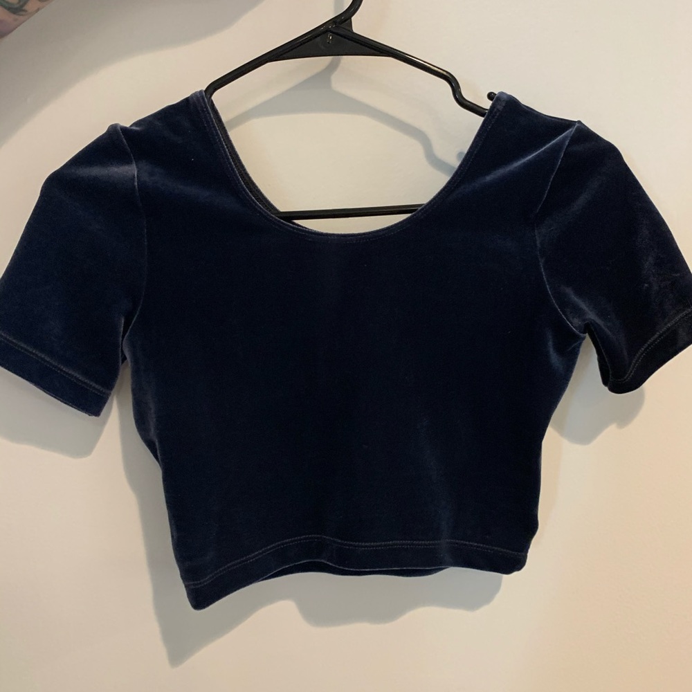 American Apparel Blue Velvet Crop Top